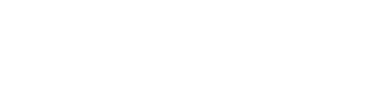 Item 4
